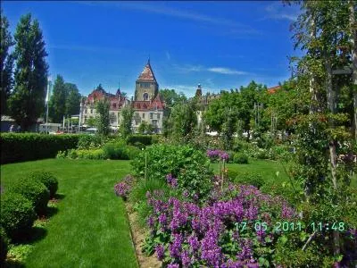 Quel chteau distingue-t-on en arrire plan ?