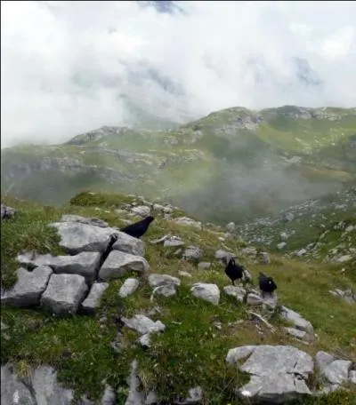 De quel col des Alpes vaudoises peut-voir ce paysage ?