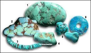 La Turquoise est :