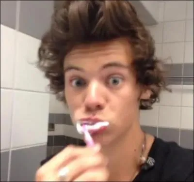 De quelle couleur est la brosse  dents de Harry ?