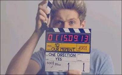 Quelle est la couleur naturelle des cheveux de Niall ?