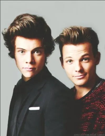 Quel est le titre du 3e album des One Direction ?