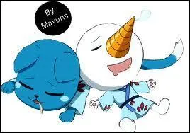 O porte-t-il la marque de sa guilde ?