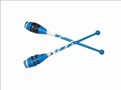 Comment nomme-t-on cet engin ?