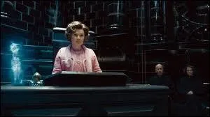 Dans le film Harry Potter 6, on peut voir quelque chose reprsentant cette femme dans le magasin des jumeaux. Quoi ?