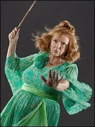 Parlons de la mre courageuse qui a russi  faire disparaitre dfinitivement la plus grande de mangemorts... Bien sr je parle de Molly Weasley ! Qui fait partie de sa famille ?