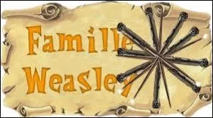 Et la dernire question... Sur les filles de la famille Weasley... Combien sont-elles avec la gnration de Harry et celles de ses enfants ?