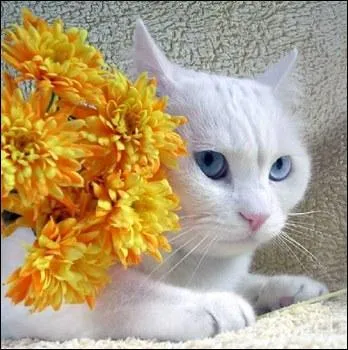 Qui est sa grand-mre maternelle ?