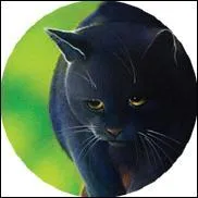 Qui est son compagnon ?