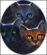 Qui sont ses enfants ?