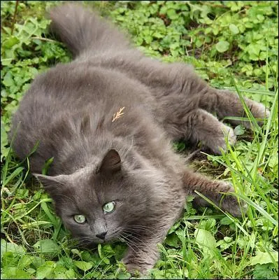 Qui est sa grand-mre paternelle ?