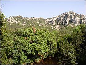 Si nous allons dans le Var, nous sommes obligs de nous arrter  Toulon !  quelle altitude culmine le mont Faron, le point culminant de Toulon ?
