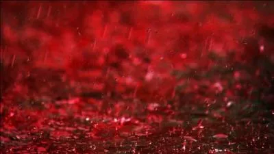 Quelles femmes ont t toutes deux dcapites ?