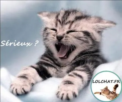 Une citation maintenant :  Dans la vie, j'aurai tout pris au srieux, sauf la vie . Qui a dclar cela ?