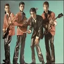 Qui a interprt la chanson :  C'est pas srieux  avec le groupe  Les chats sauvages  ?