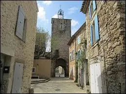 Nous sommes  Richerenches, capitale de la truffe. Cette ville, situe dans l'Enclave des Papes, se trouve ...