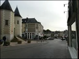 Quelle ville du Maine-et-Loire est la capitale europenne de la rose ?