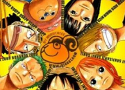 Quiz One Piece - personnages