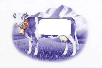 C'est la vache de...