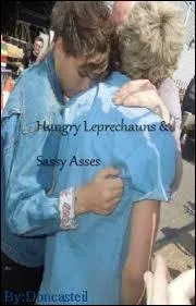 Quel est le surnom de Niall et Louis sur internet ?