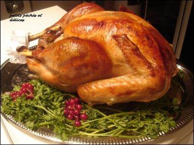 De quelle rgion est originaire la dinde ?