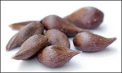 Selon le point de vue botanique c'est un piridion : un fruit portant une rosette sur le bas, et un pdoncule marqu. Il est arrondi, plus ou moins sphrique, de couleurs varies selon les varits. Quels sont ces fruits donnant les ppins ci-contre ?