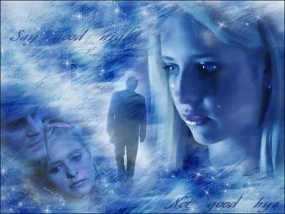 Qui est le réalisateur de Buffy contre les vampires ?