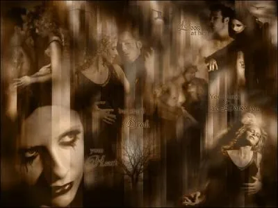 Combien y a-t-il de saisons ?