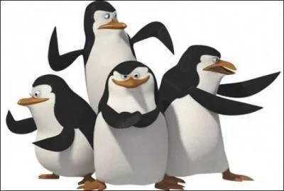 De quel dessin anim font partie ces pingouins ?