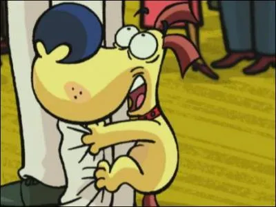 Qui est ce joli chien si attachant ?