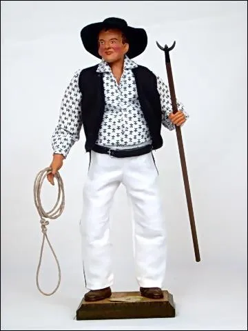 Un cheval, ma Camargue pour un cheval ! Que suis-je ?