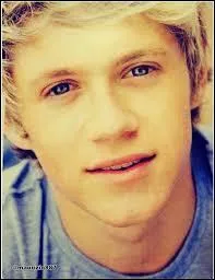 De quoi Niall a-t-il une peur bleue ?