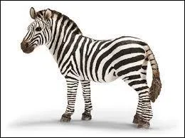 Comment s'appelle la femelle du zbre ?