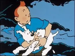 J'observe l'image et je vois : un chien blanc dans les bras de l'homme !