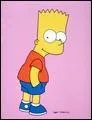 Que possde Bart ?