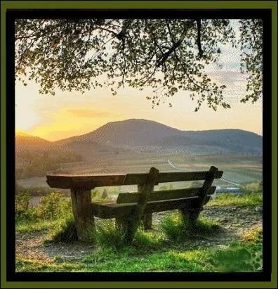  Ah ! Blessures du coeur, votre trace est amre ! Promptes  vous ouvrir, lentes  vous fermer  . Billet potique de ...