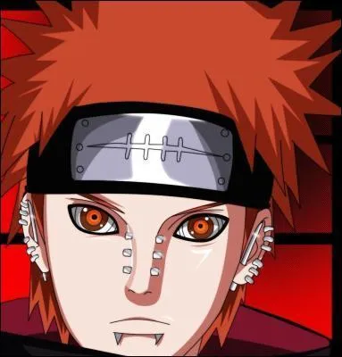 Comment s'appelle l'oeil de pein ?