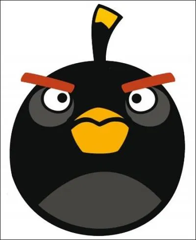 Que fait l'angry bird noir ?