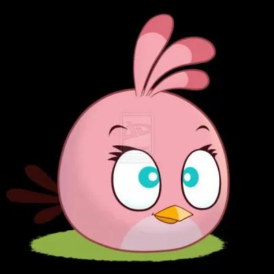 Que fait l'angry bird rose ?