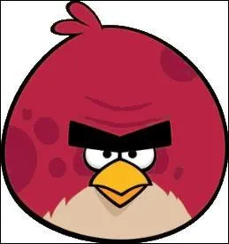 Et que fait cet angry bird ?