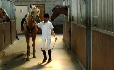 Quiz Galop 1