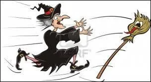 Elle s'en sert pour voler pas pour nettoyer. Quelle est la bonne traduction du mot balai ?