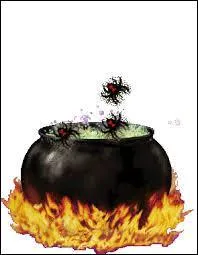 Elle s'en sert pour faire du boeuf au pipi. Quelle est la bonne traduction du mot chaudron ?