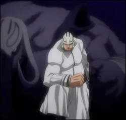 Sous forme de resurreccin, Nirgge Parduoc possde un corps semblable ...