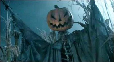 Dans quel film voyons-nous un pouvantail  cheval ?