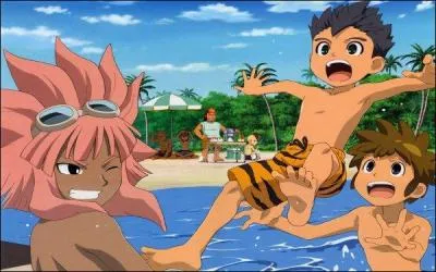 Dans l'quipe d'Inazuma Japon qui tire le corner, au grand tonnement de chacune des quipes