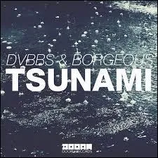 Le clip du tube  Tsunami  de DVBBS & Borgeous met en scne, entre autres, des jongleurs et des cracheurs de feu.