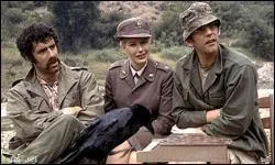 Dans la continuit� du r�le du sergeant Oddball, il incarne le chirurgien et capitaine Benjamin Franklin  Hawkeye  Pierce dans  M. A. S. H  de Robert Altman. Avec ses fac�tieux camarades, ils surnomment l'infirmi�re en chef Margaret Houlihan...