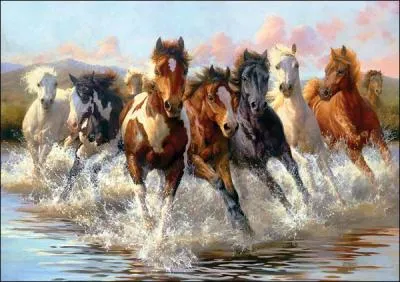 Quelle est la hauteur minimale pour un cheval ?