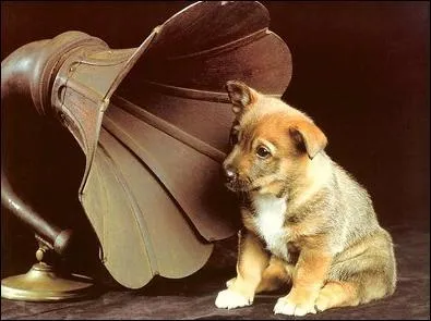 Je ne veux rien entendre ! Actuellement (octobre 2013), il connat un grand succs avec sa chanson  La, la, la  :